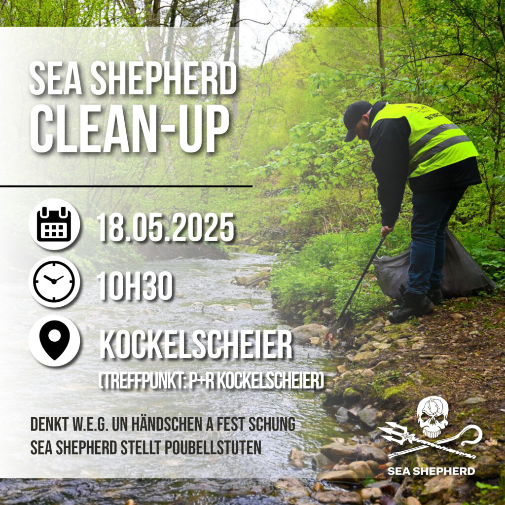 CleanUp Kockelscheier