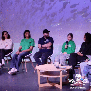 president of sea shepherd luxembourg participates in a round table with the students