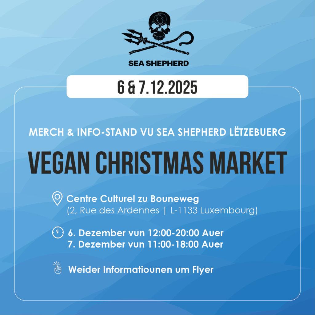 Vegan Christmas Market