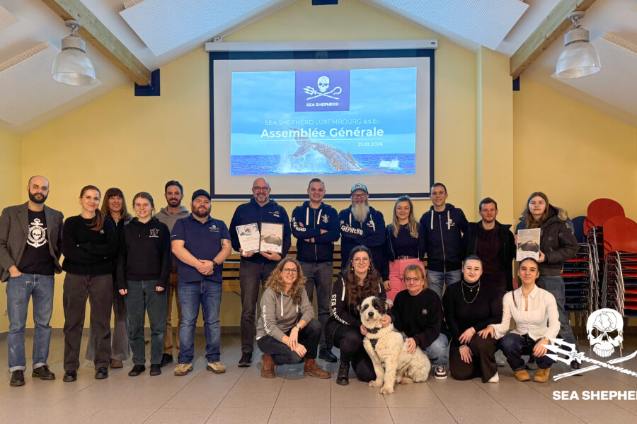 2026 02 21 AG Sea Shepherd Luxembourg Header