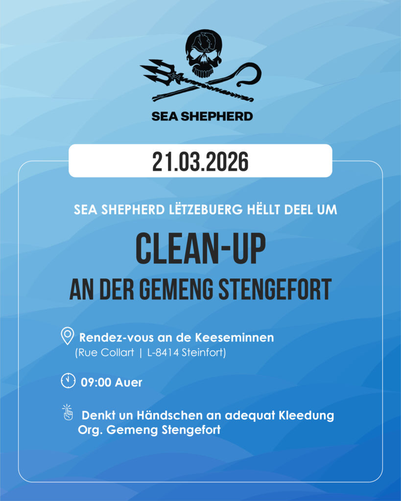 Big Clean-up in Steinfort