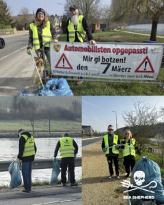 volunters collecting plastics and one photo of all the bags filled during the morning