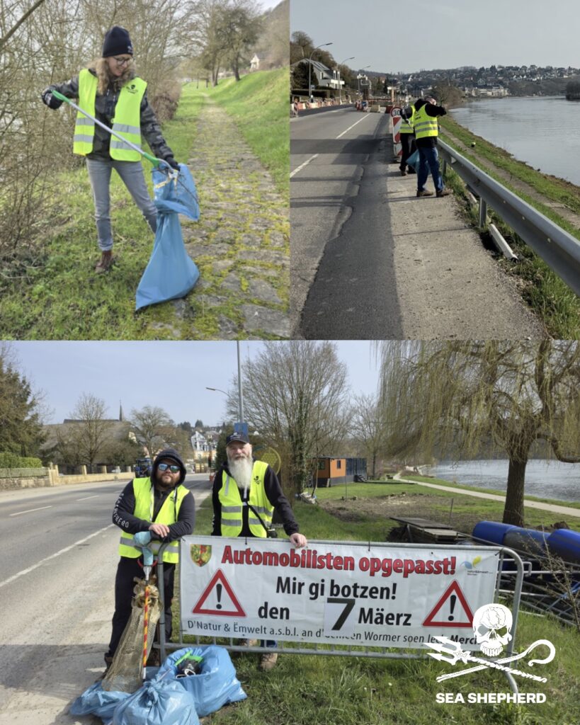 volunters collecting plastics