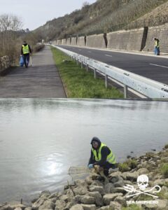 two images, upper shows volunteers next to the road collecting trash, bottom a volunteer finds an illegal fishing net