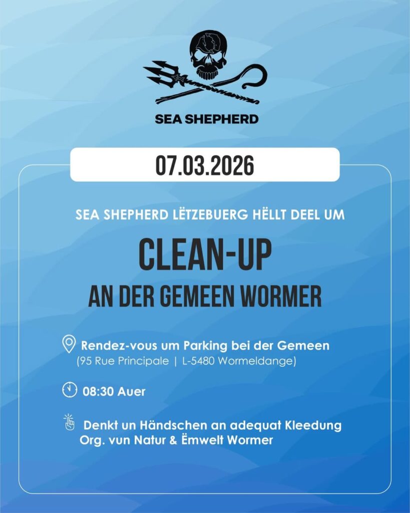Cleaning in the municipality of Wormer