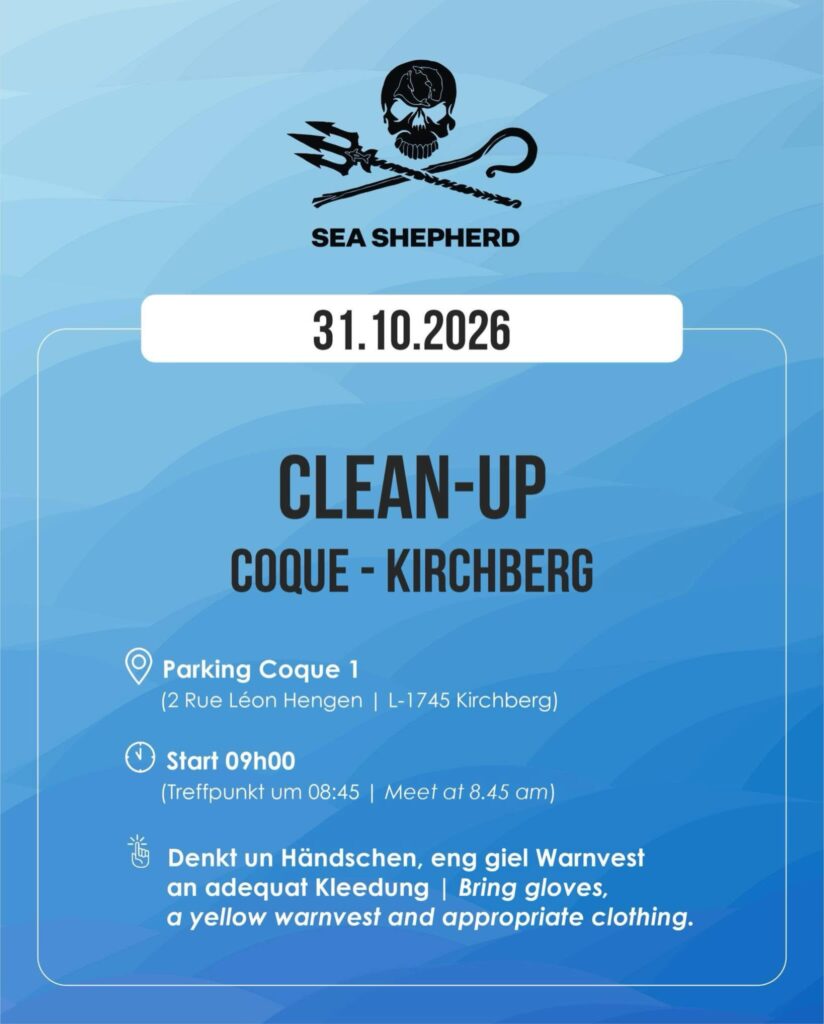 Clean-Up Coque-Kirchberg